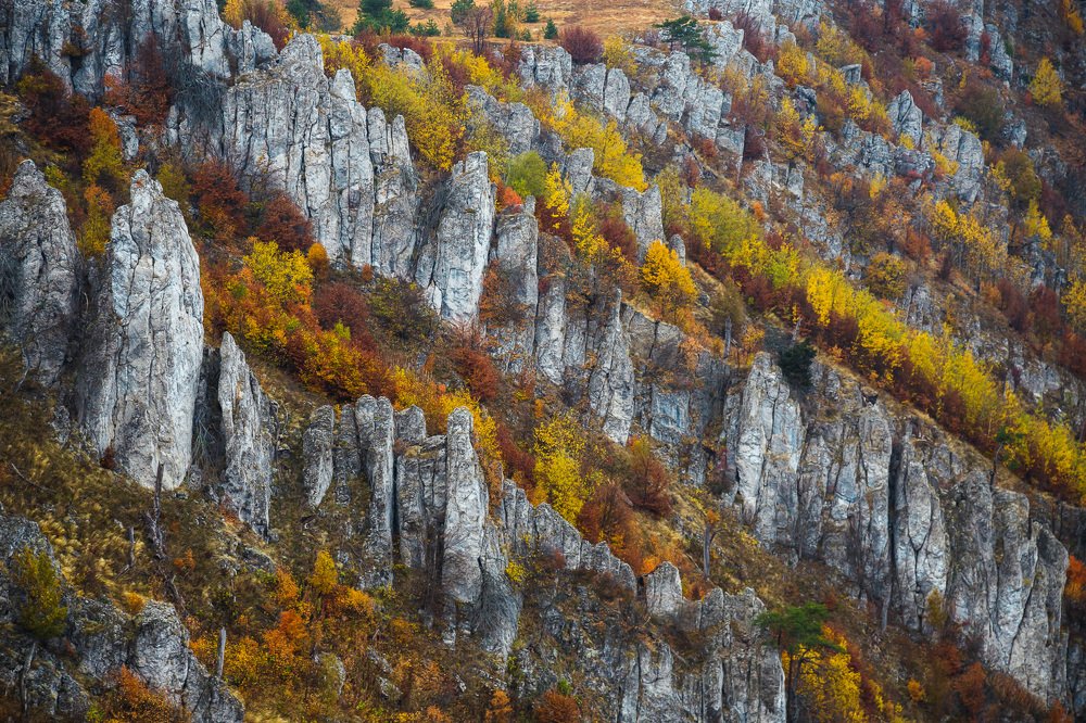 Осенняя геометрия