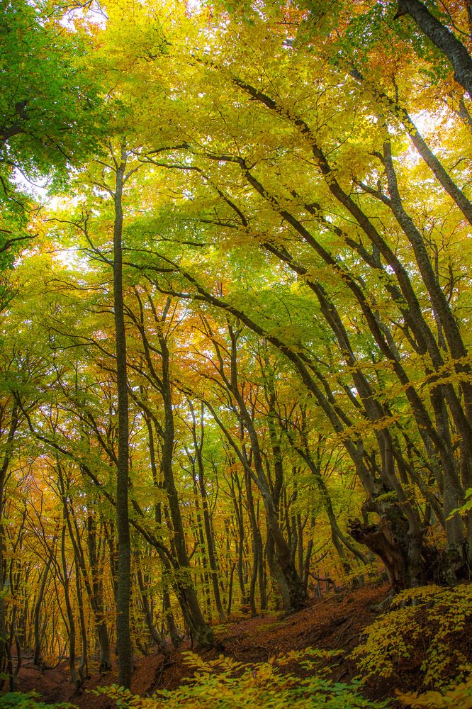 Столпы небесные