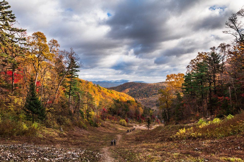 краски осени