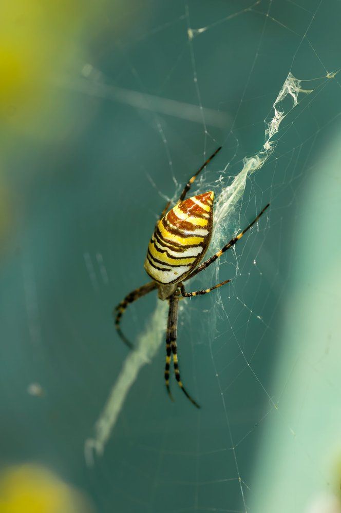 Photograph by Тараненко Анжелика