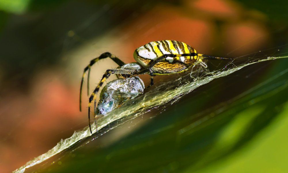 Photograph by Тараненко Анжелика