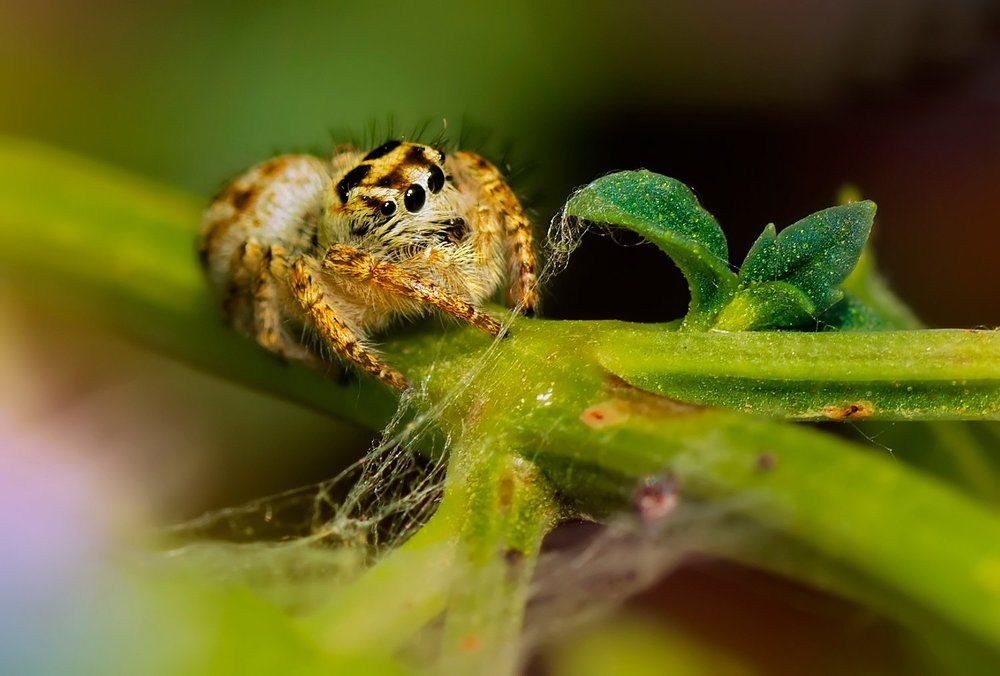 Photograph by Тараненко Анжелика