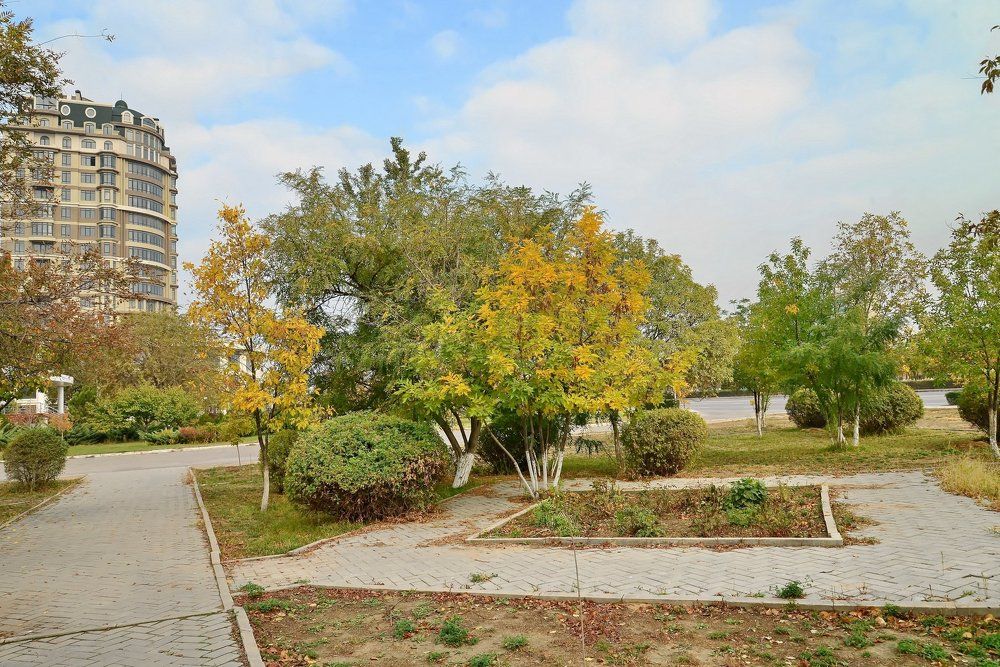 Зарисовки октября