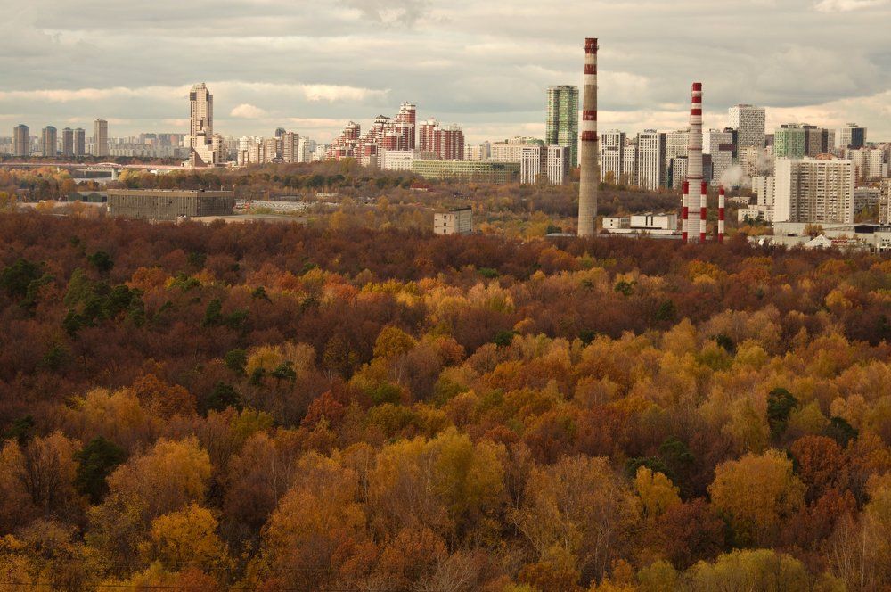 Photograph by Юлия Красильникова