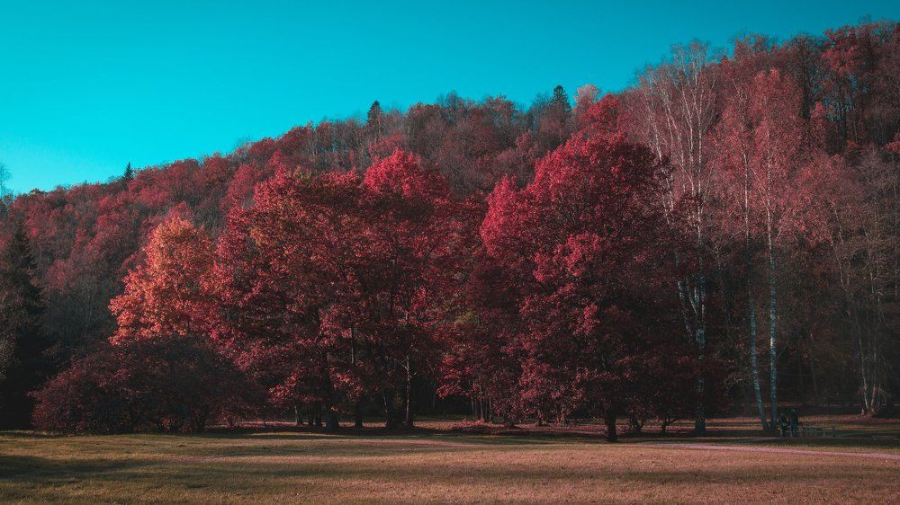 Красные краски