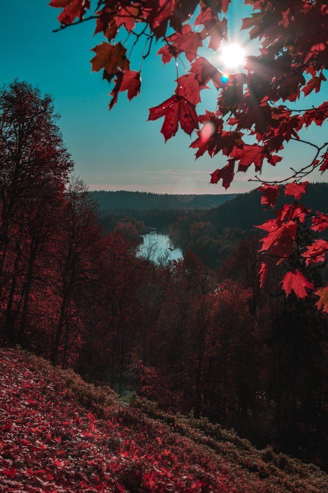 Небо и земля