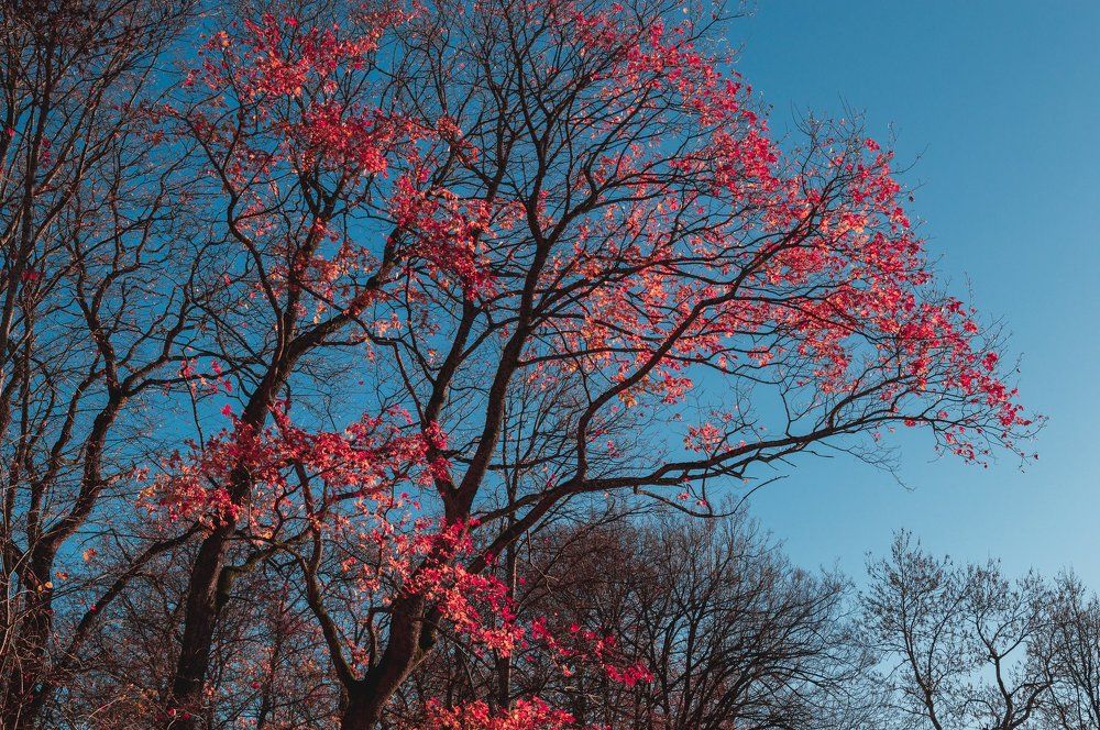 Такого не бывает