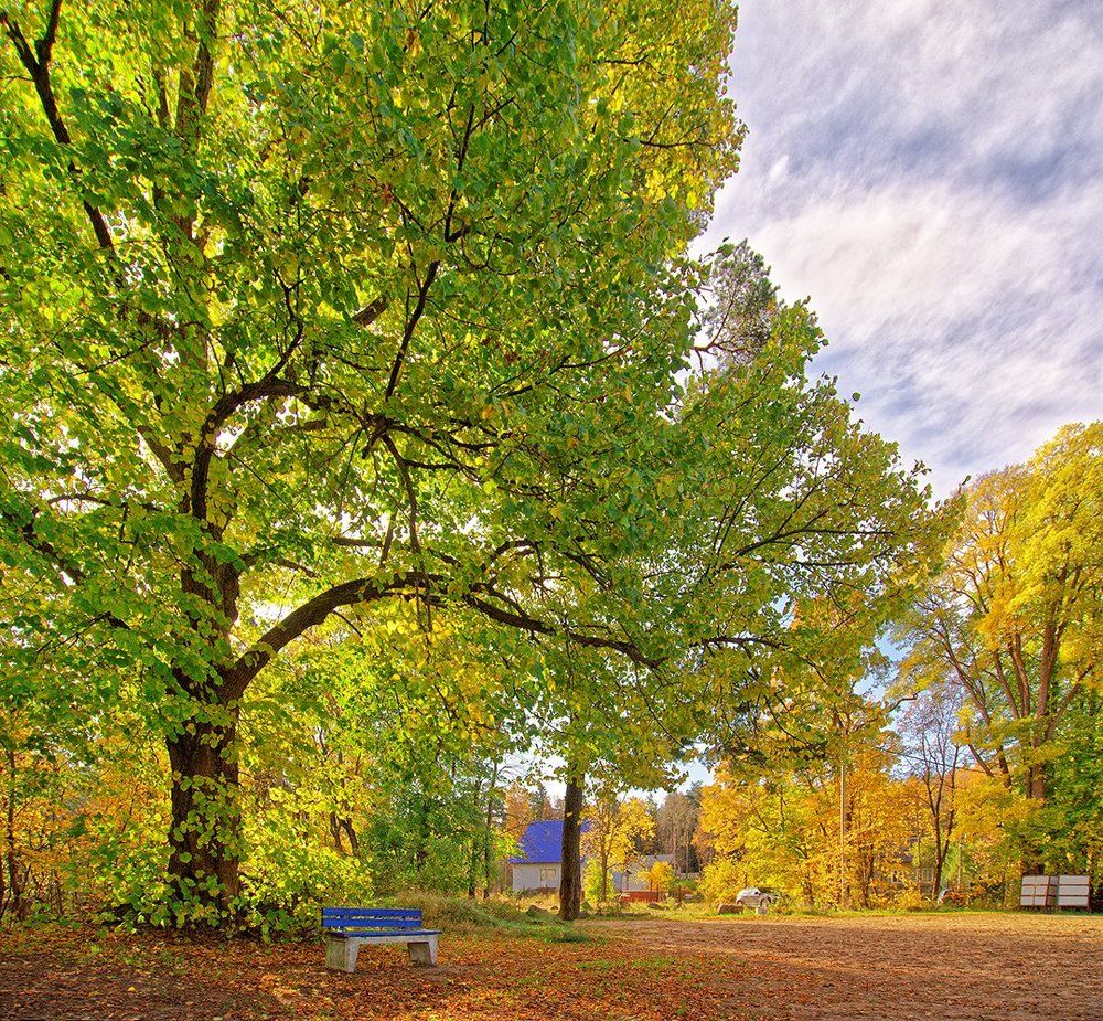 Краски осени Советска.