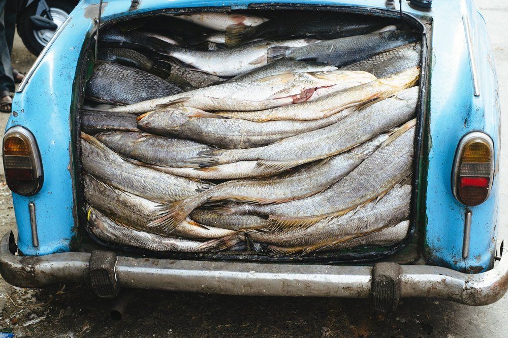 Перевозчик