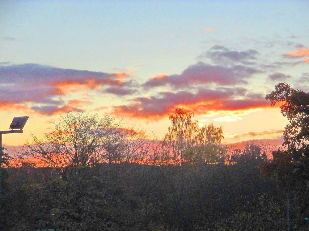 Осенний рассвет