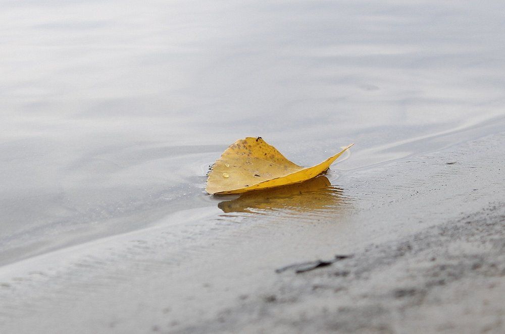 Последний лист