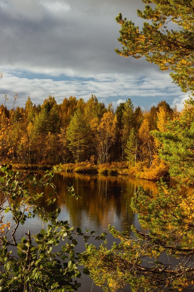 Уголок души - Карелия