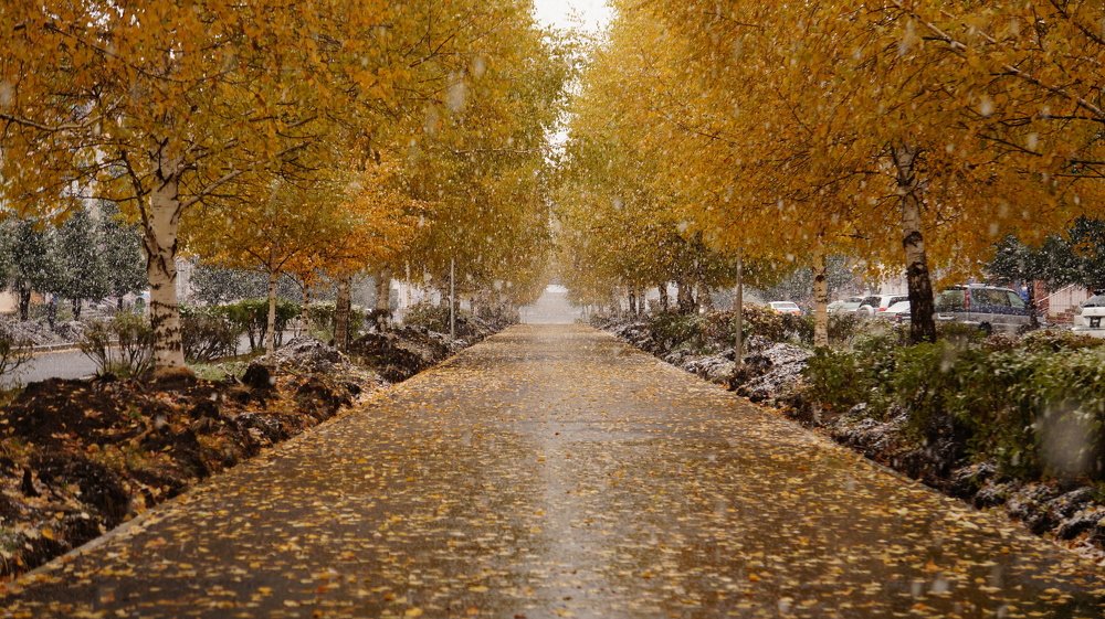 первый снег