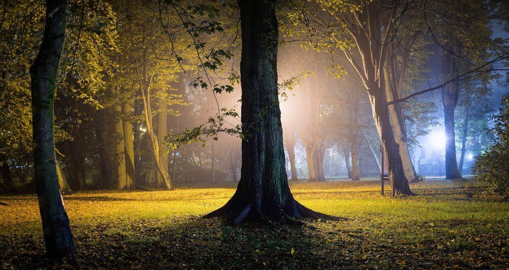 City Park for them. Stanislaw Staszic in Piła