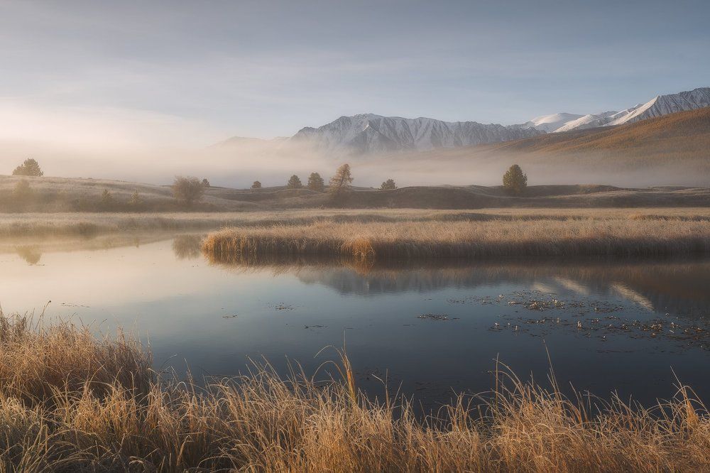 Утренняя свежесть и туман