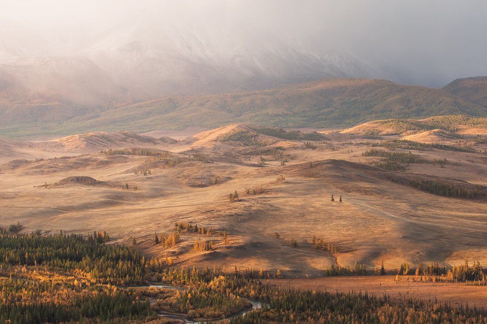 Оранжевые холмы