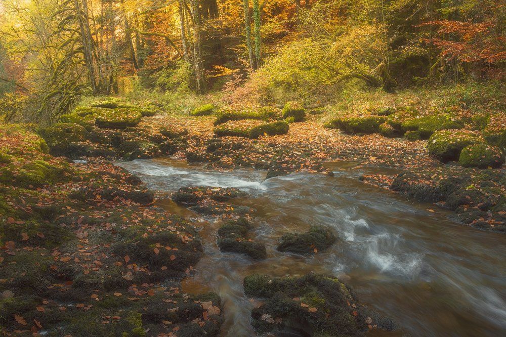 Краски осени