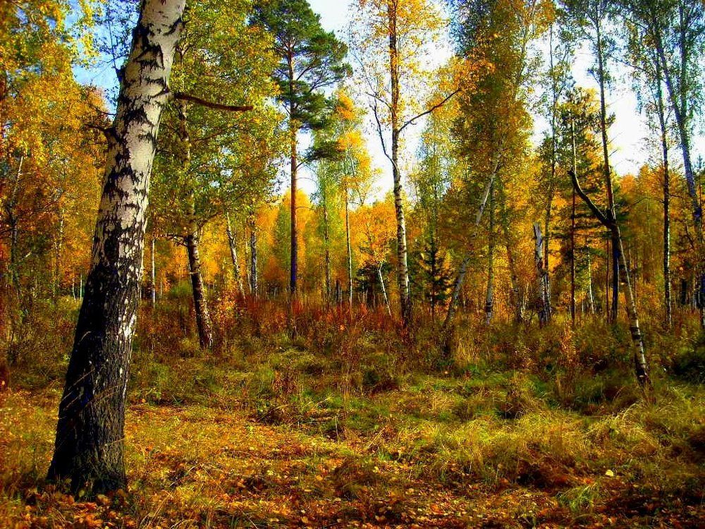 Уральская осень