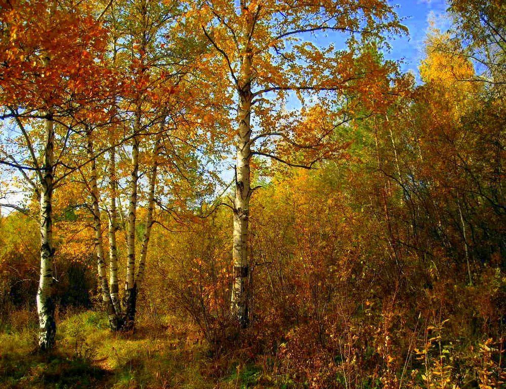 Уральская осень