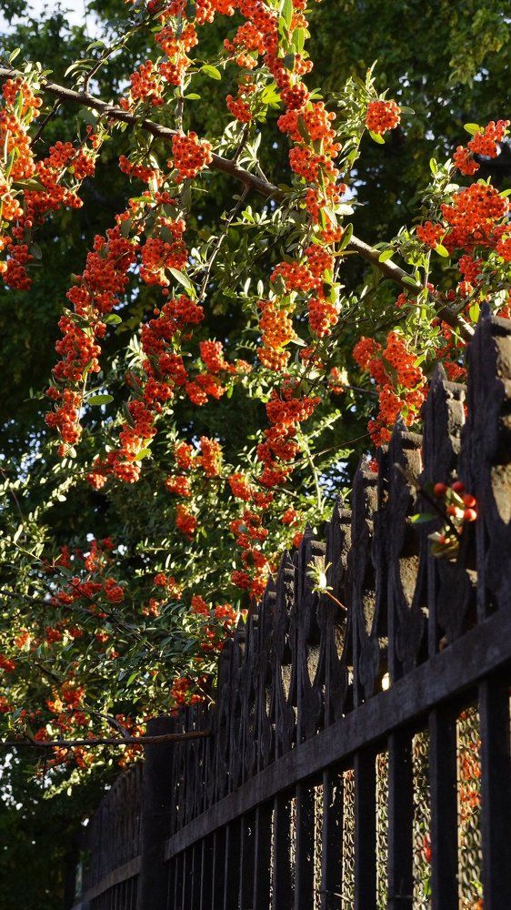 Photograph by Tamara Margvelashvili