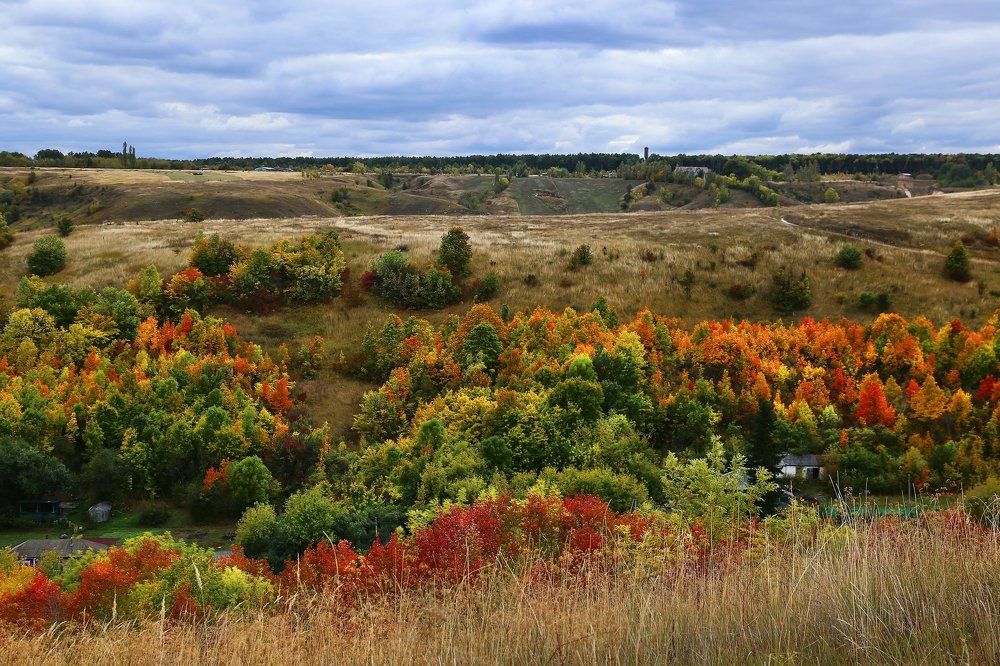 Золотая осень