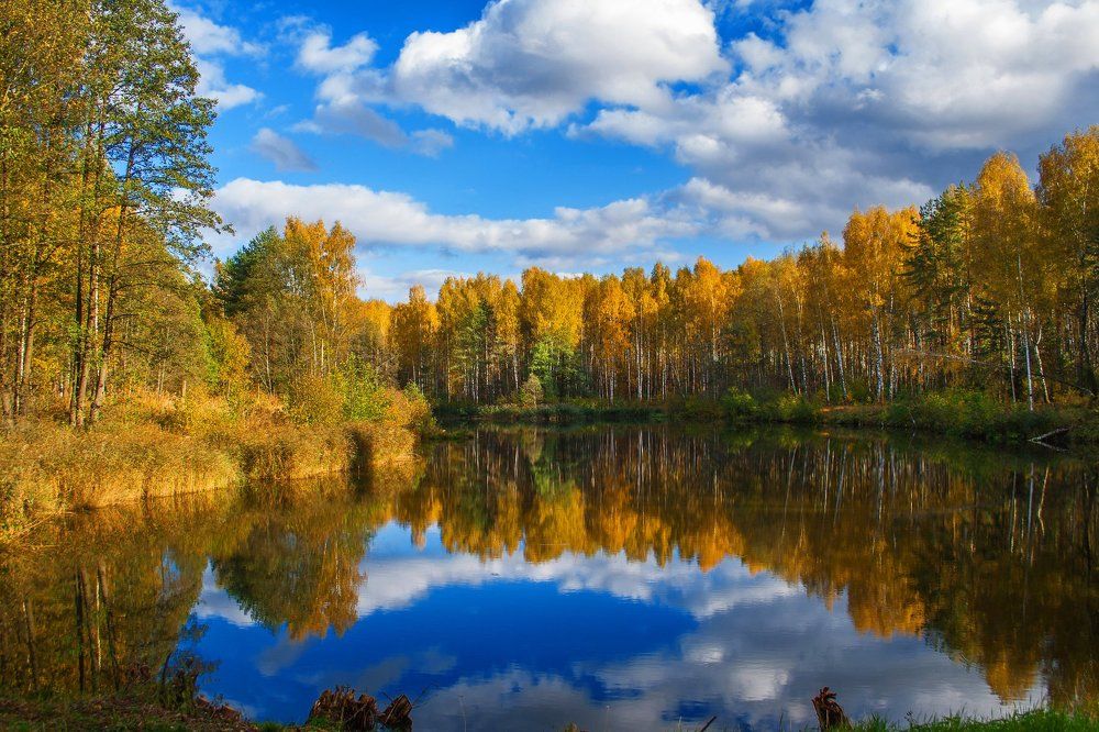 Photograph by Екатерина