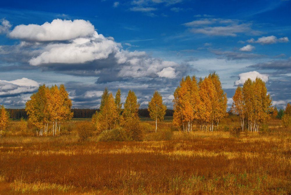 Photograph by Екатерина