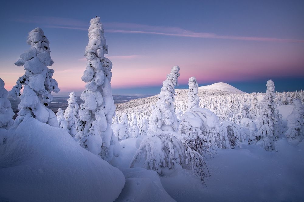 Путь в северную страну