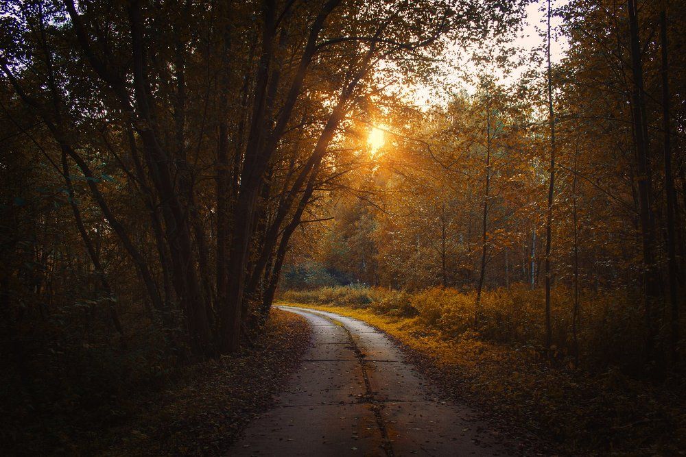 Photograph by Екатерина