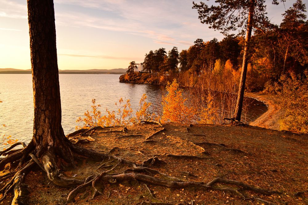 Золотой берег