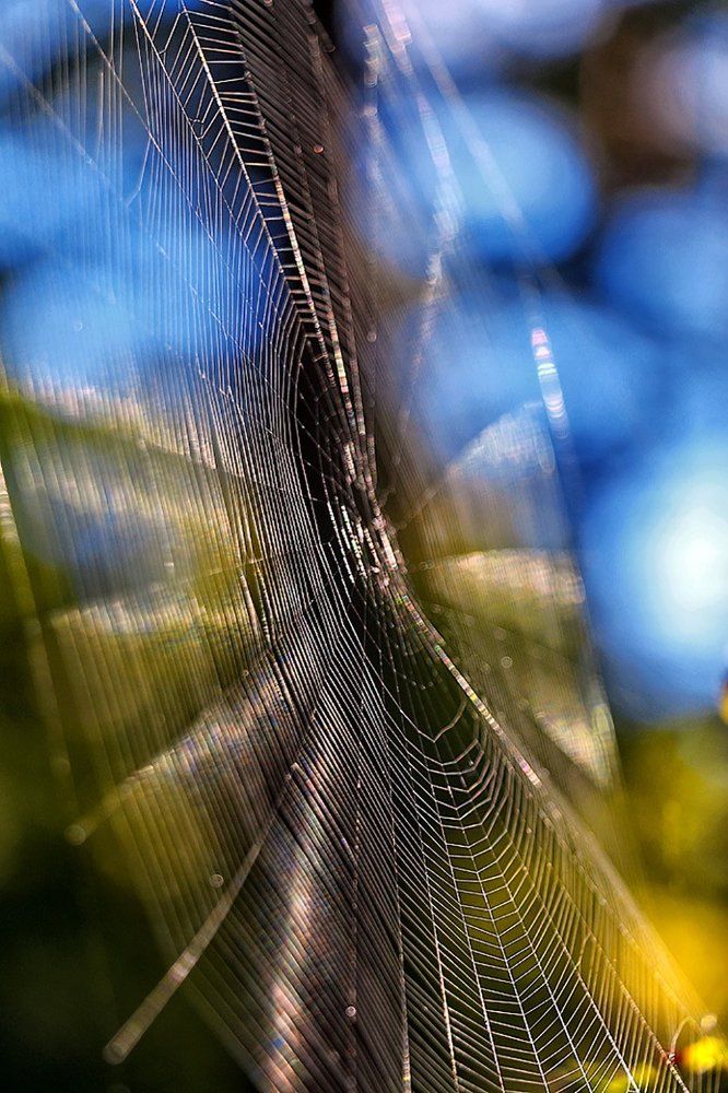 Мелодия осени