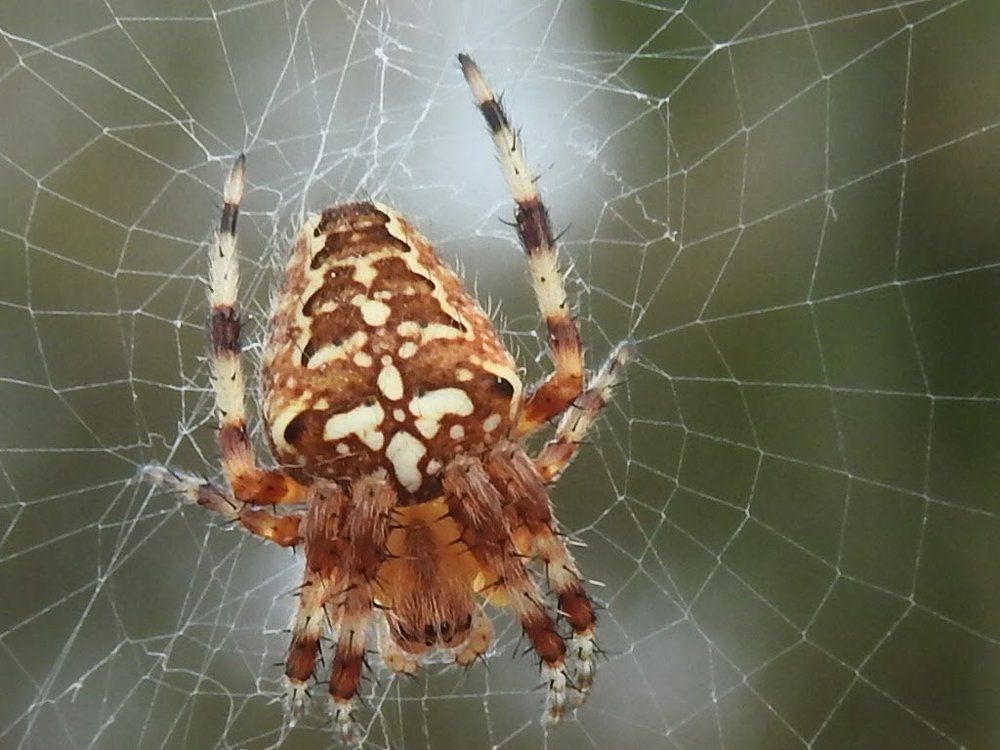 Photograph by Наталья