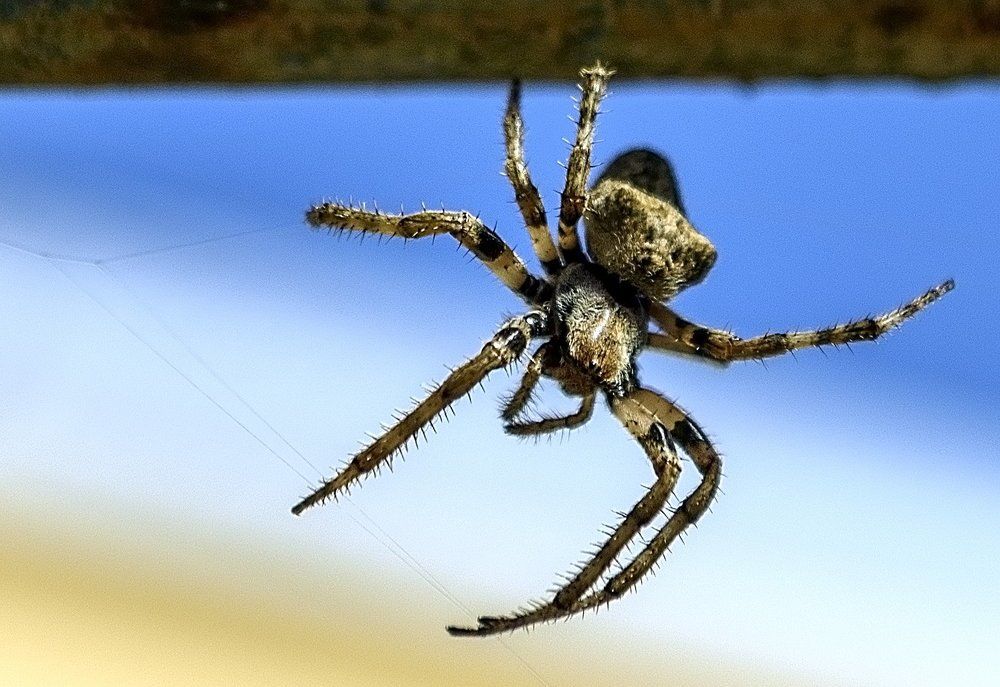 Photograph by валерий колосов