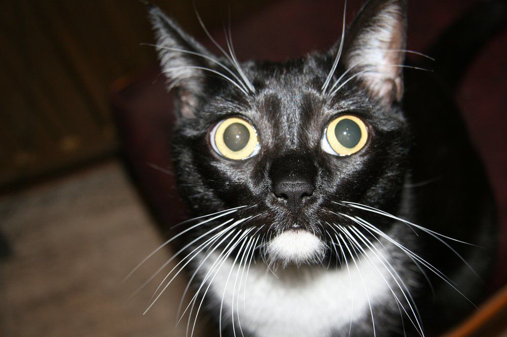 нОЯБРЬ-а что это?