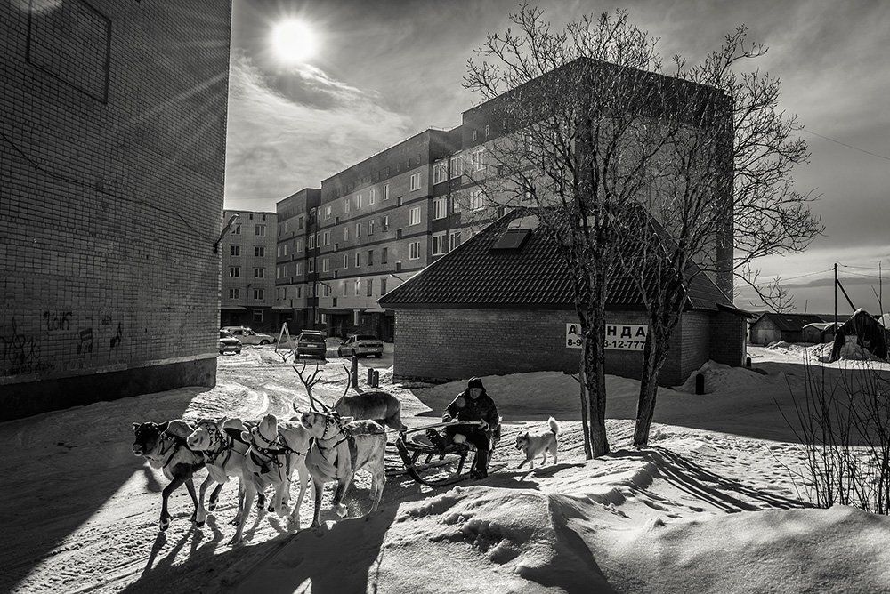 Мы поедем, мы помчимся...