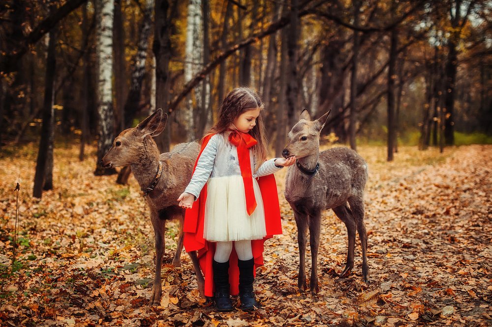 Красная шапочка