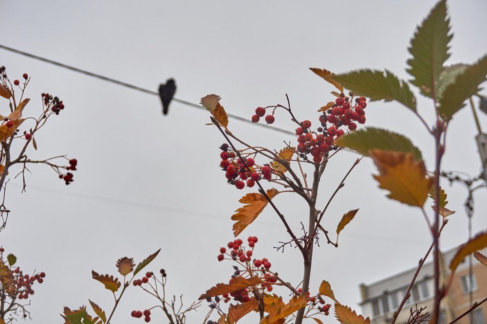 Коротко о главном.