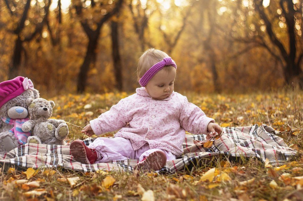 В лесу осень