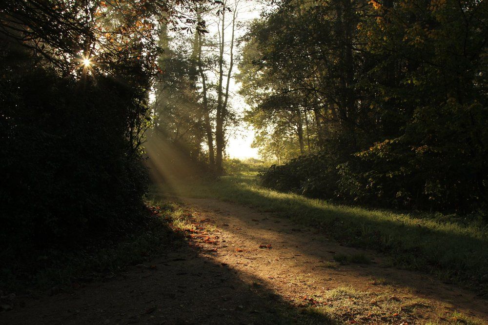 Солнечные лучи