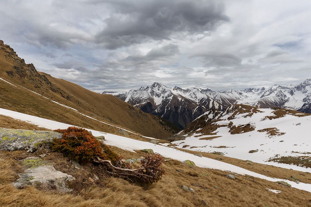 Как волны, плещут к небу горы...