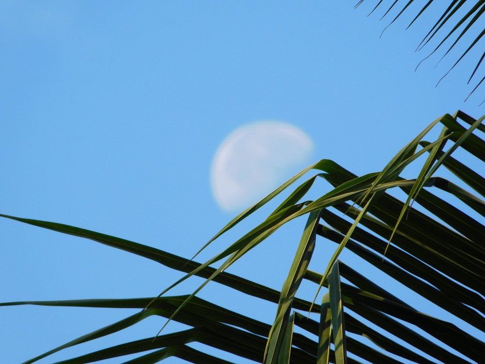 Bright Day with Moon