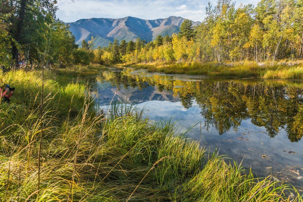 Осенние мотивы