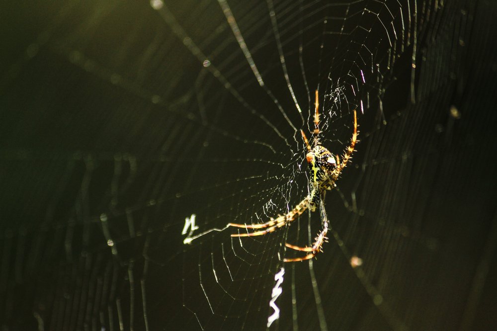 Waiting for breakfast!
