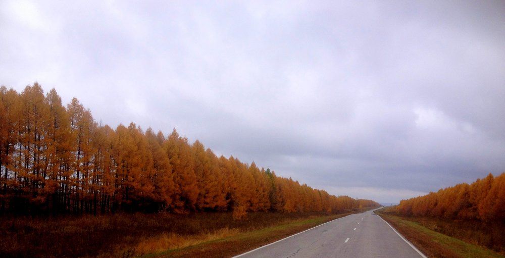 Осень в дороге