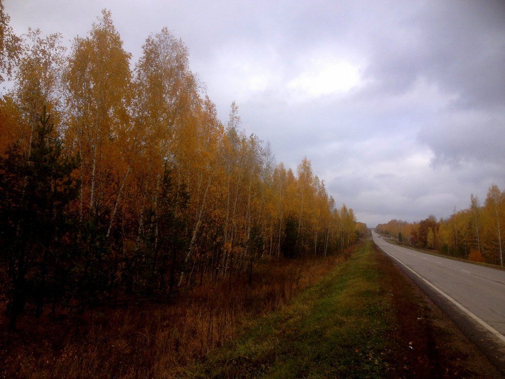 Осень в дороге