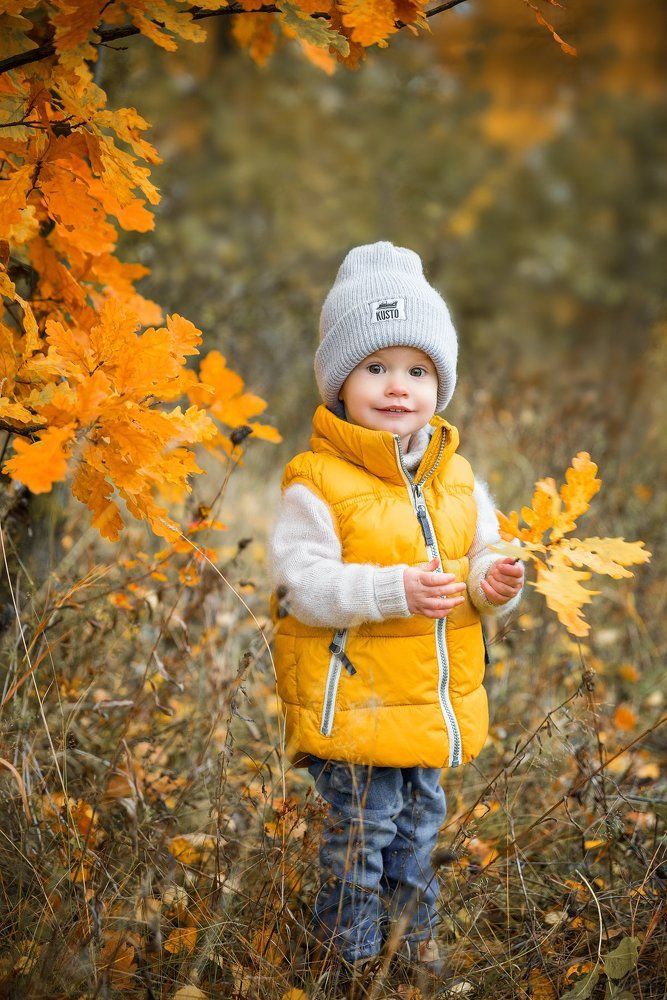 Солнечный зайчик.