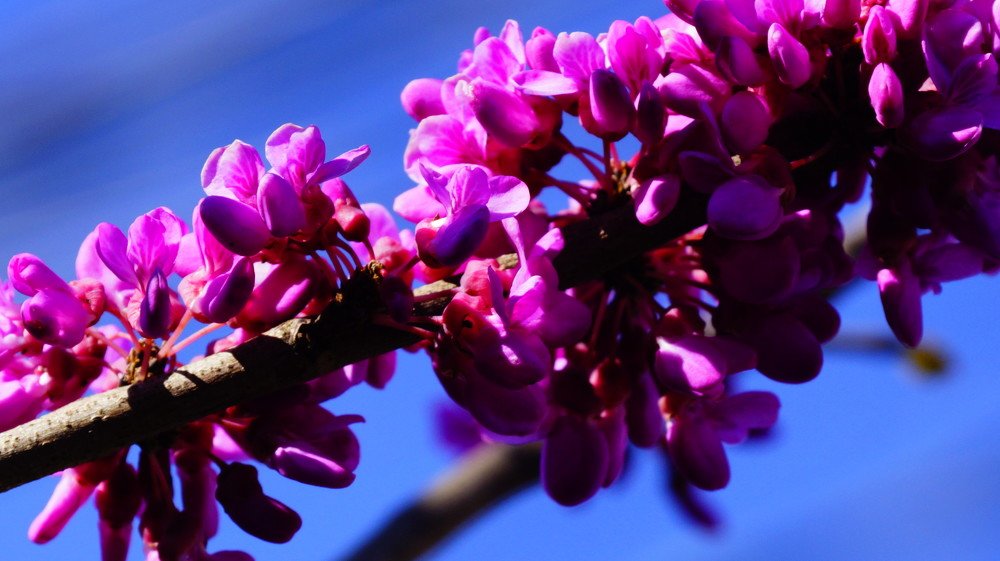 Photograph by Tamara Margvelashvili