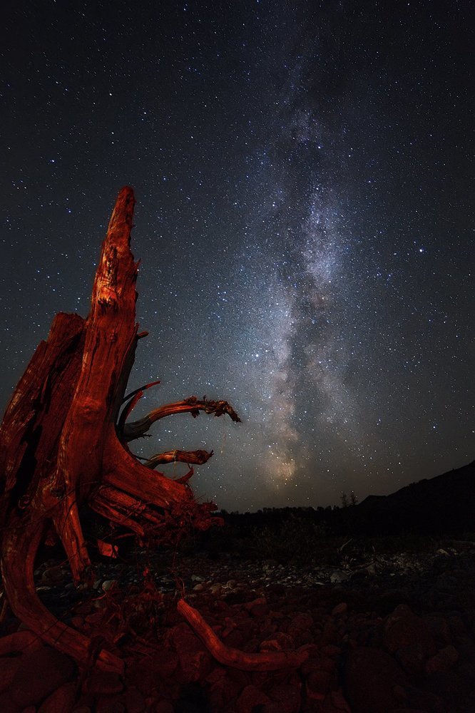 молчать и смотреть