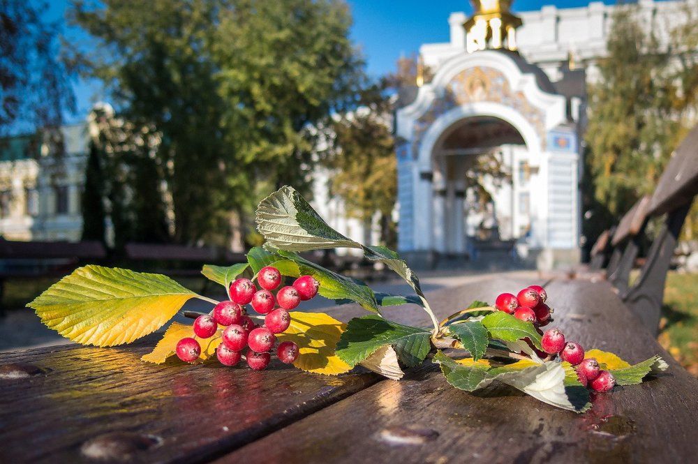 А лета теплого уже как не было...