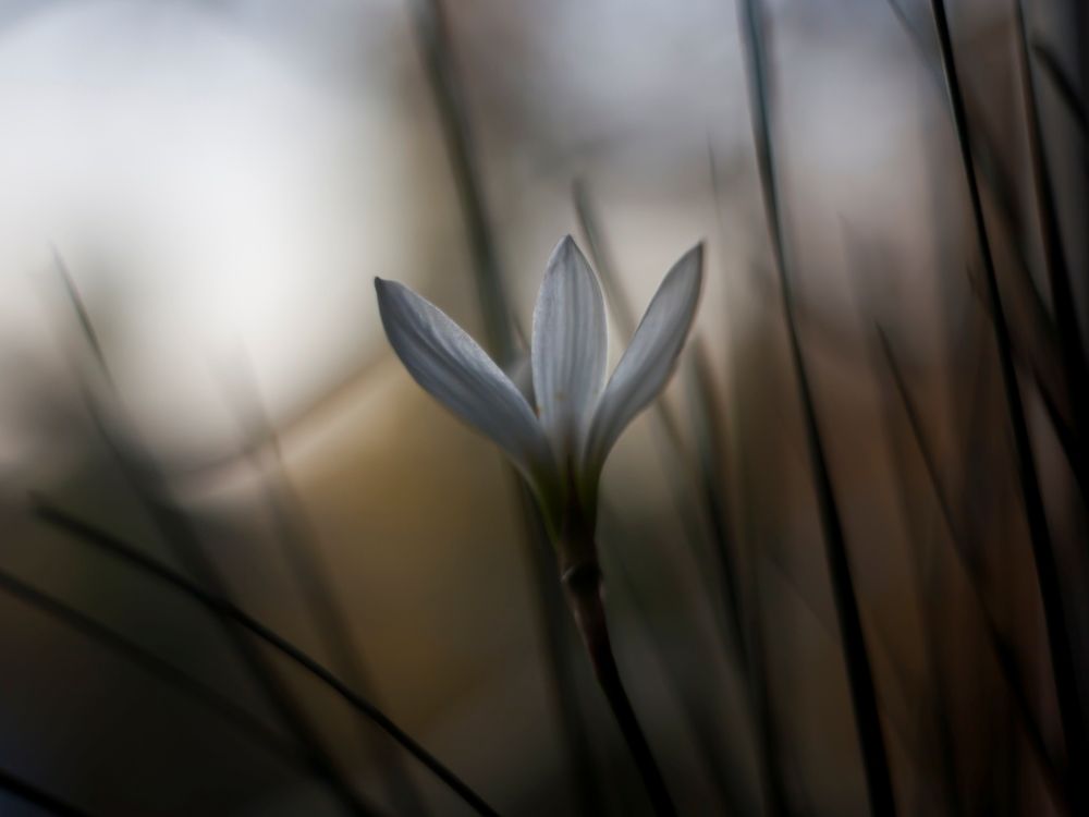 Photograph by Mary Petrova